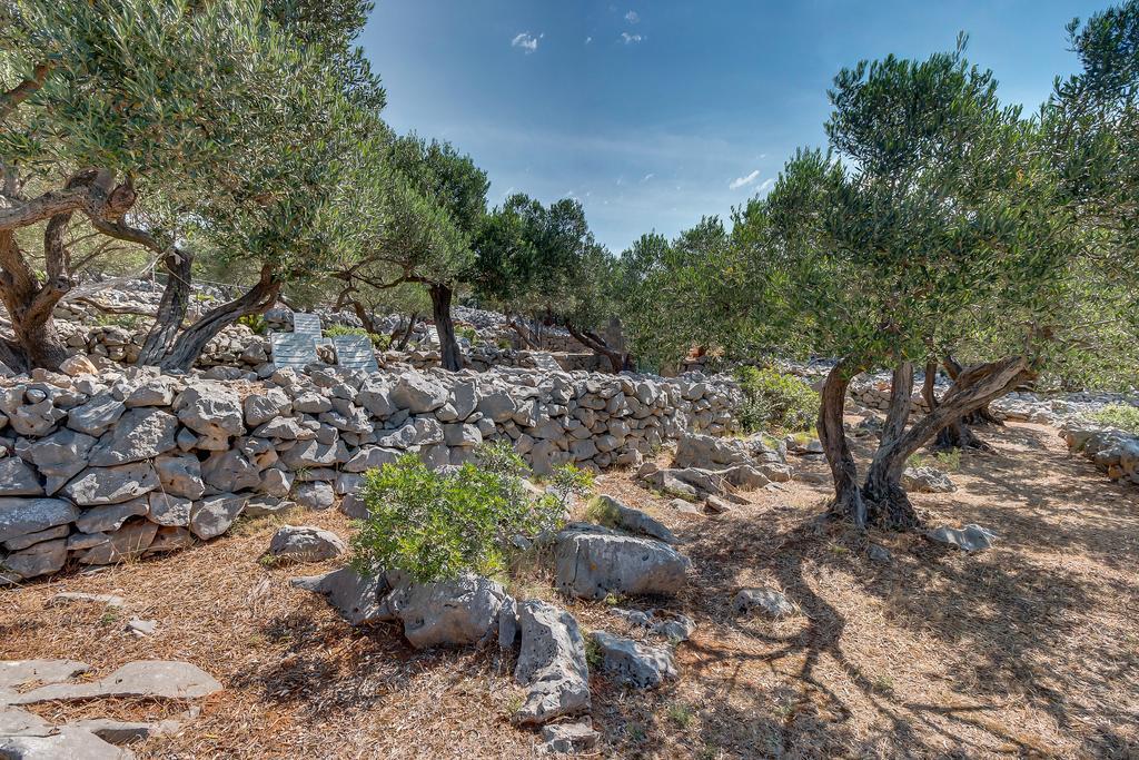 Holiday Home Nikol Вели-Лошинь Экстерьер фото